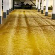 Produkcja whisky słodowej